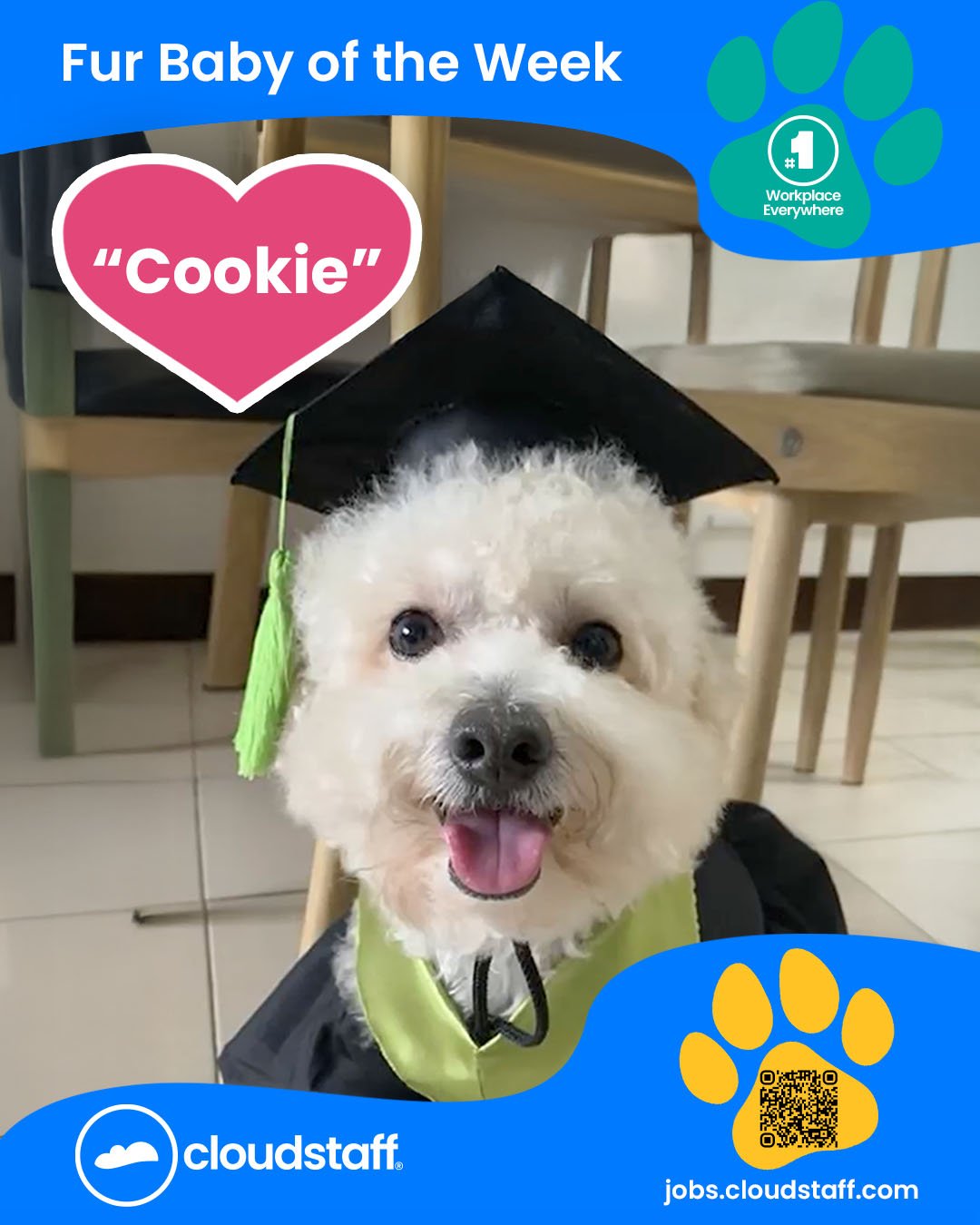 Cloudstaff Fur Baby Facebook Post V1