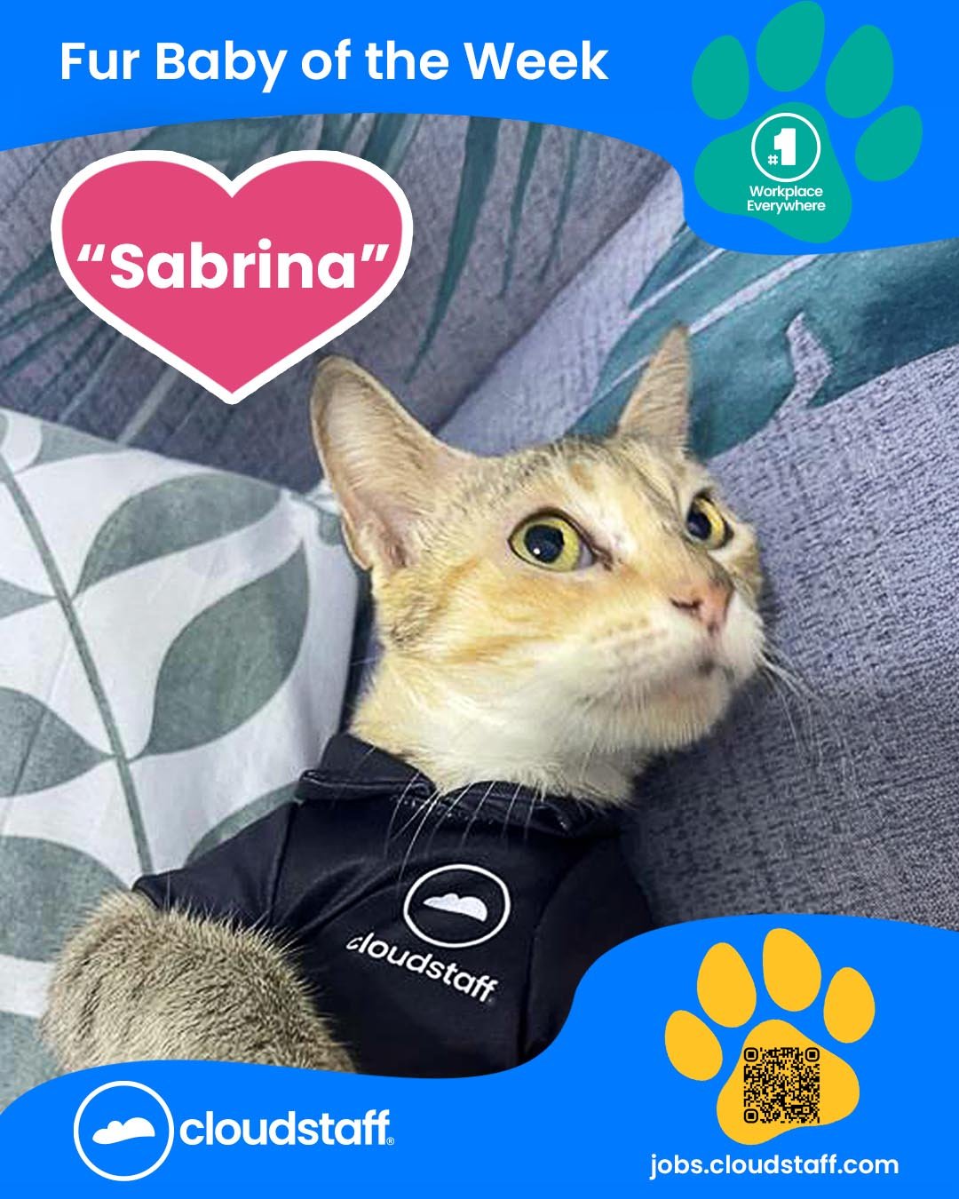 Fur Baby Facebook Post 13 August 2025