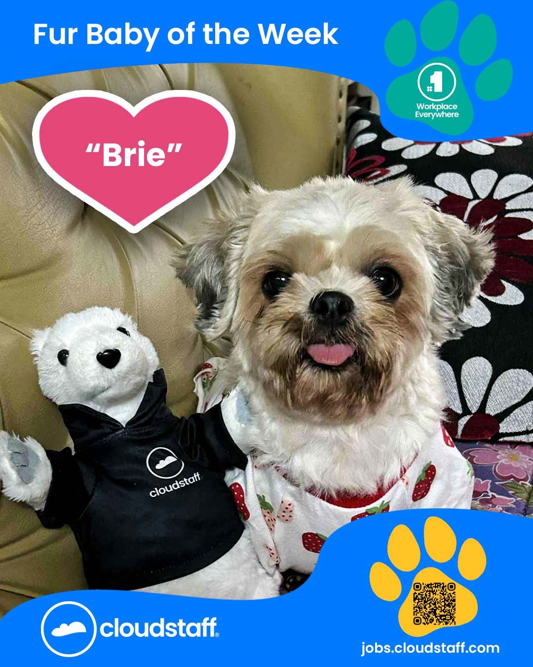 Fur Baby Facebook Post 2 September 2025 Brie
