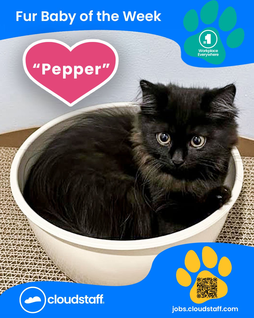 Fur Baby of the week December 7 to 14, 2025 Facebook static ad