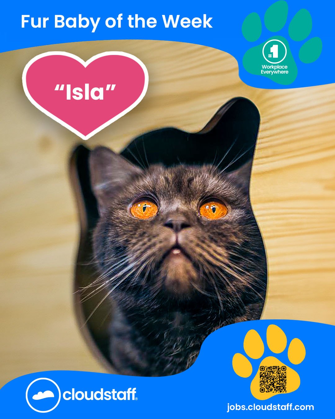 Fur Baby of the week Facebook post 1 October 2025 Isla