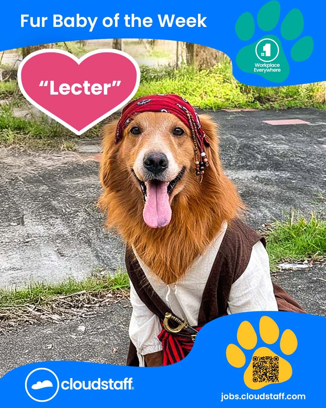 Fur Baby of the week Facebook post 11 November 2025