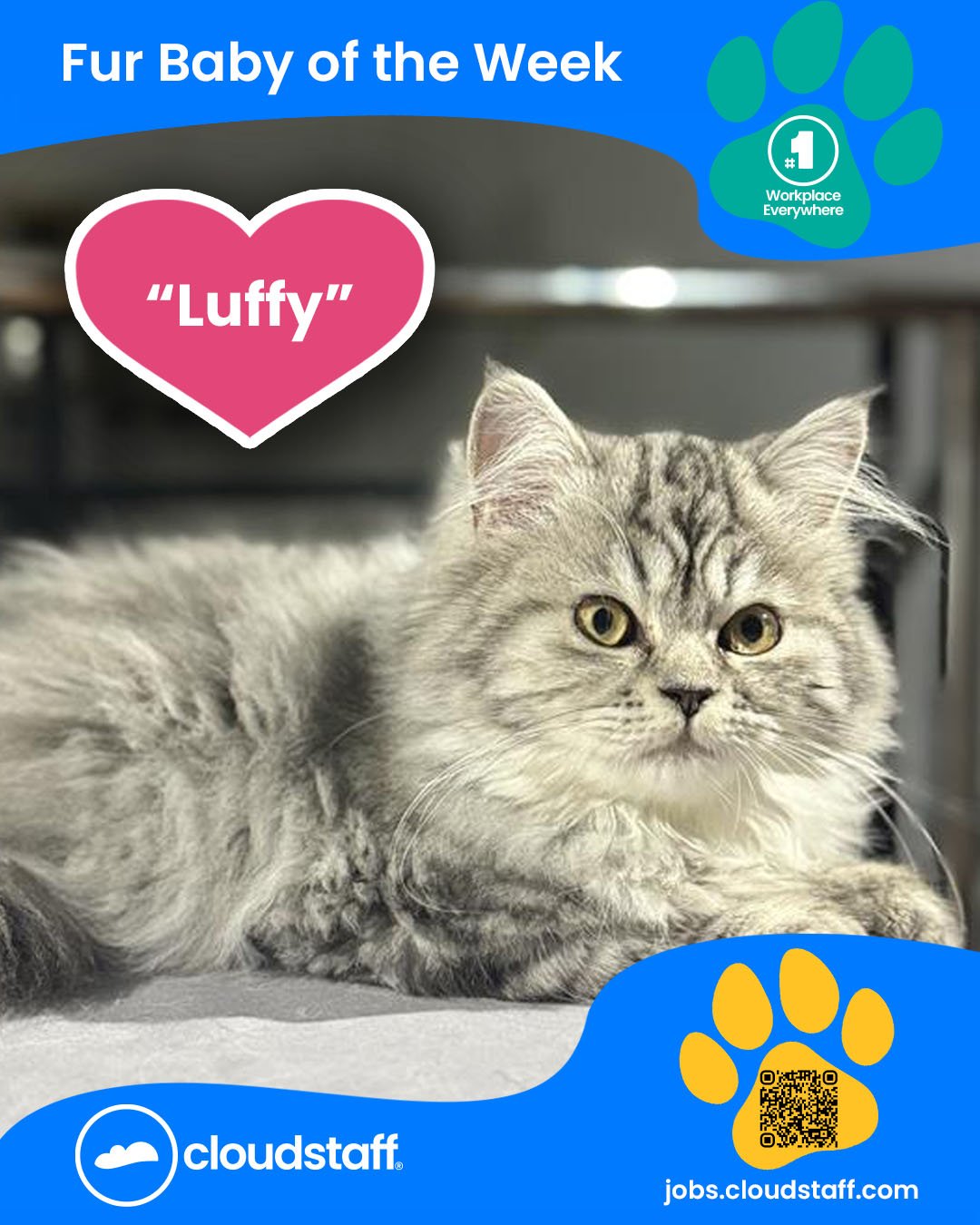 Fur Baby of the week Facebook post 16 September 2025 Luffy