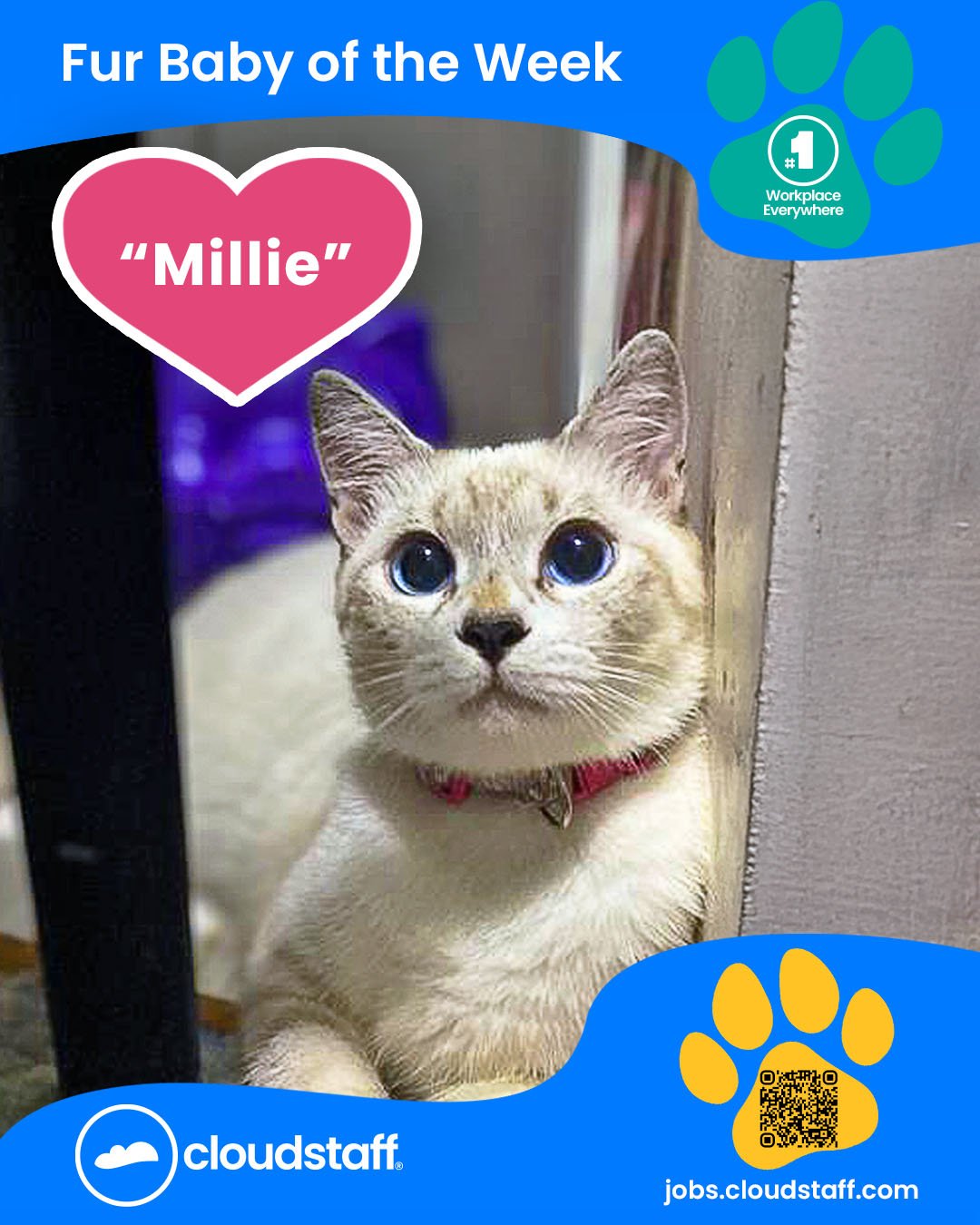 Fur Baby of the week Facebook post 18 November 2025