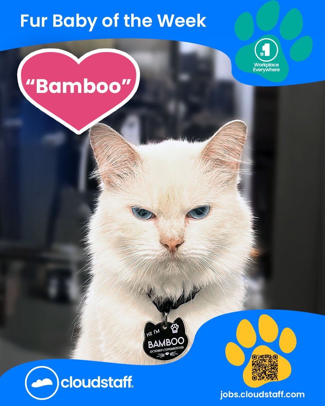 Fur Baby of the week Facebook post 21 October 2025 Bamboo