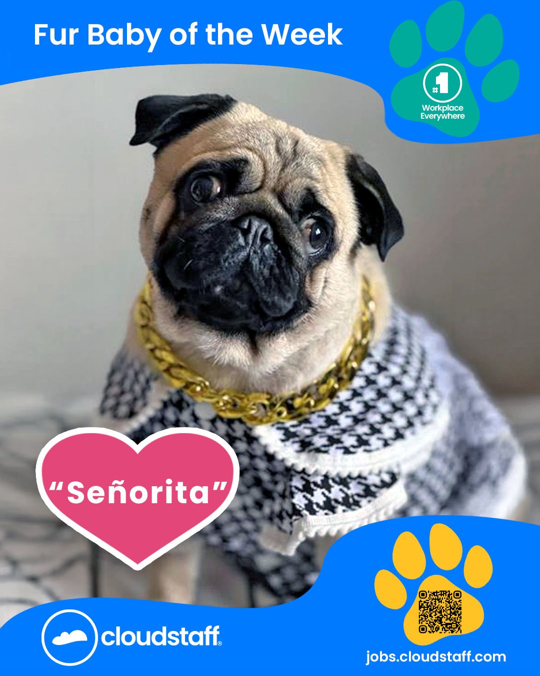 Fur Baby of the week February 16 to February 22, 2026 Facebook static ad