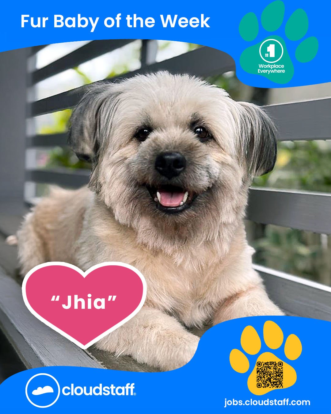 Fur Baby of the week February 23 to February 28, 2026