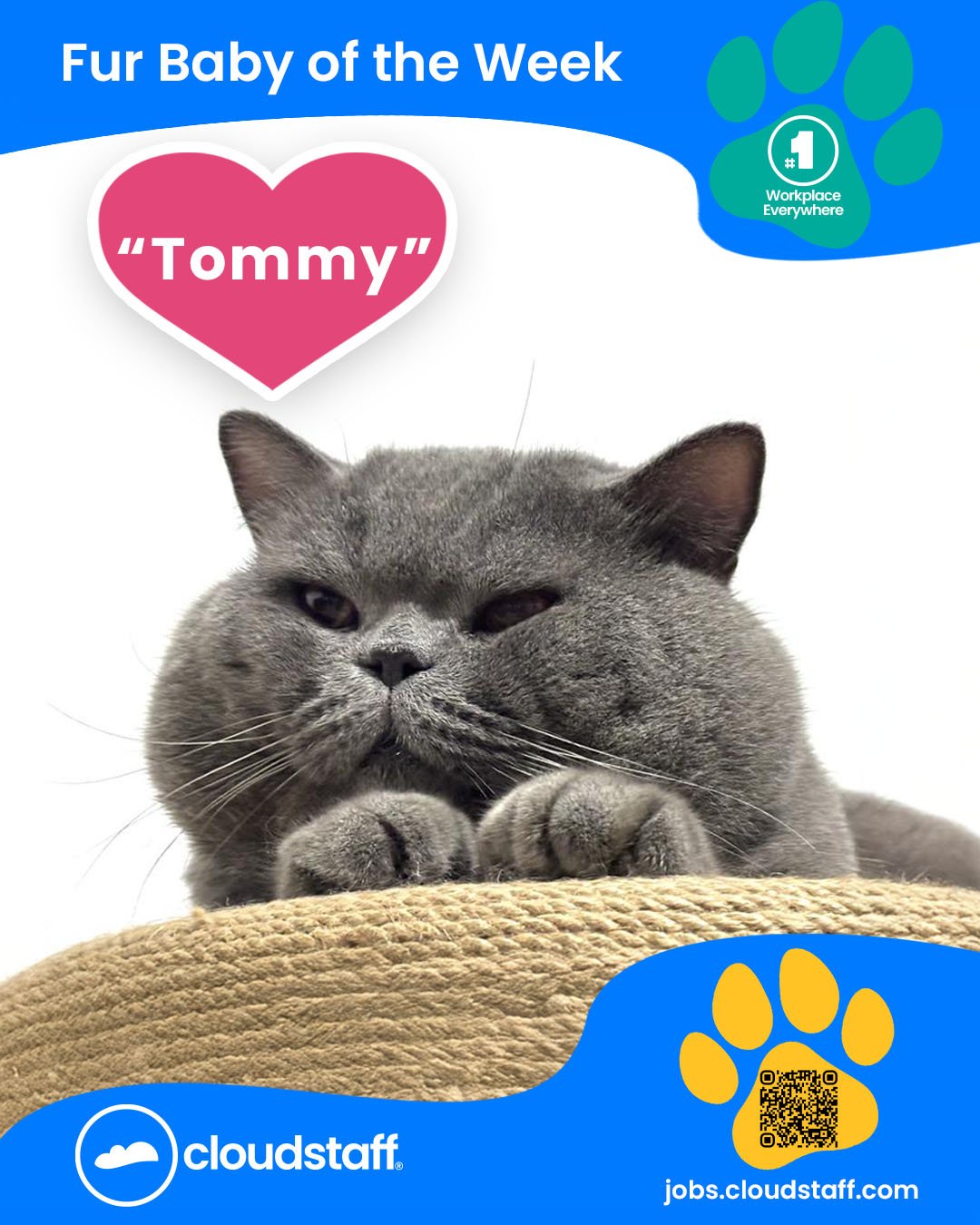 Fur Baby of the week January 12 to January 18, 2026 Facebook static ad