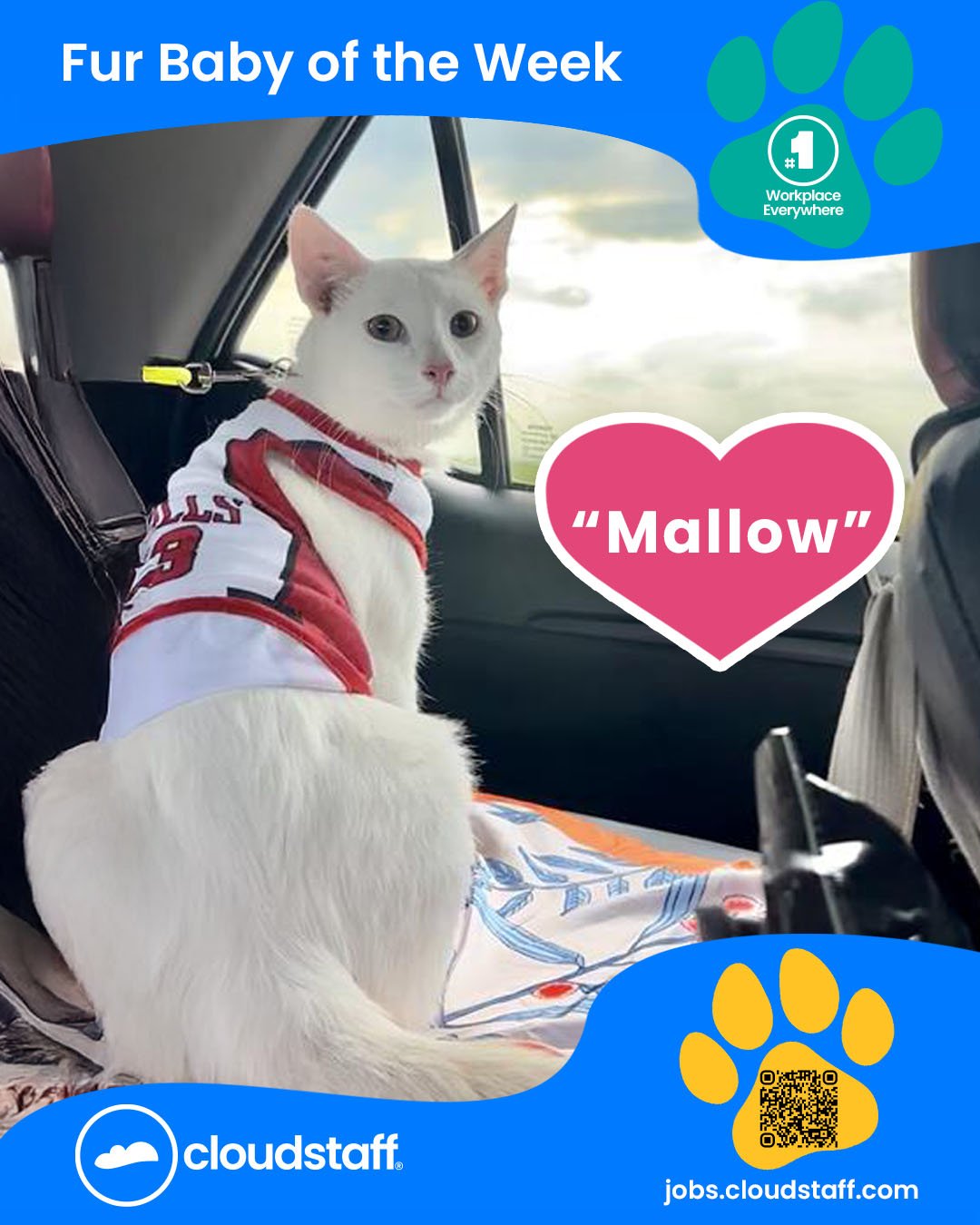 Fur Baby of the week January 26 to January 31 2026 Facebook static ad