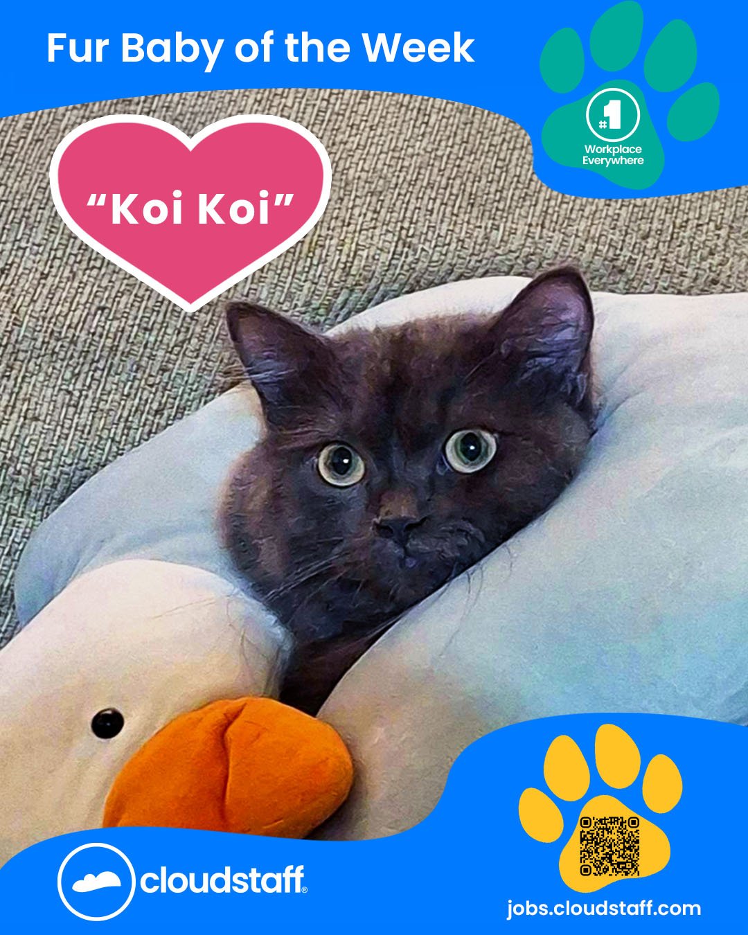 Fur Baby of the week March 1 to March 8, 2026 for web