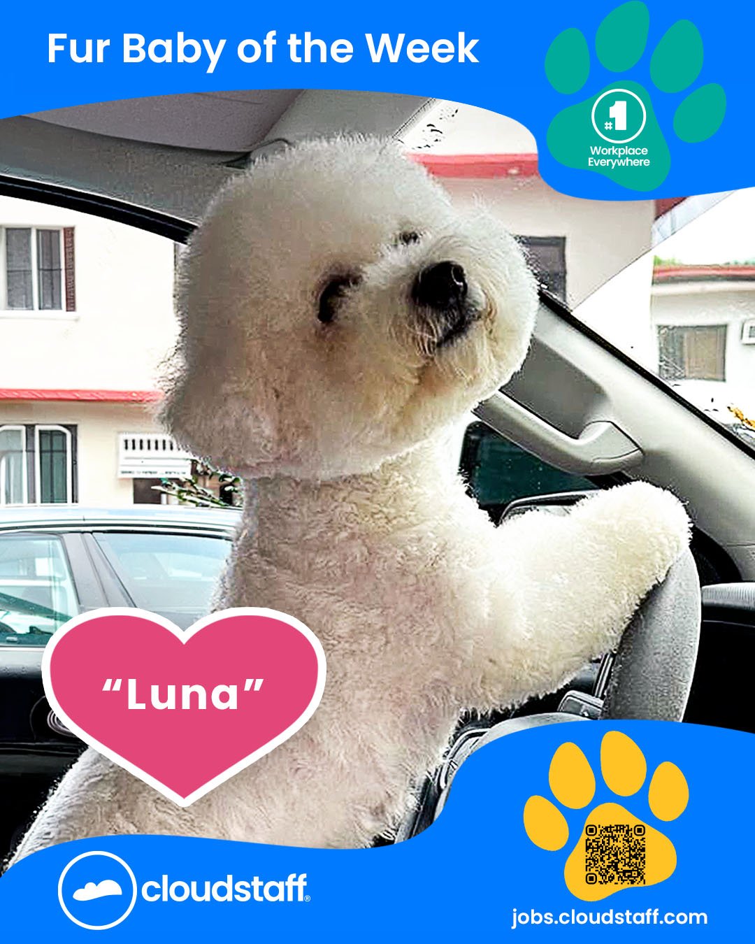 Fur Baby of the week March 9 to March 15, 2026 web