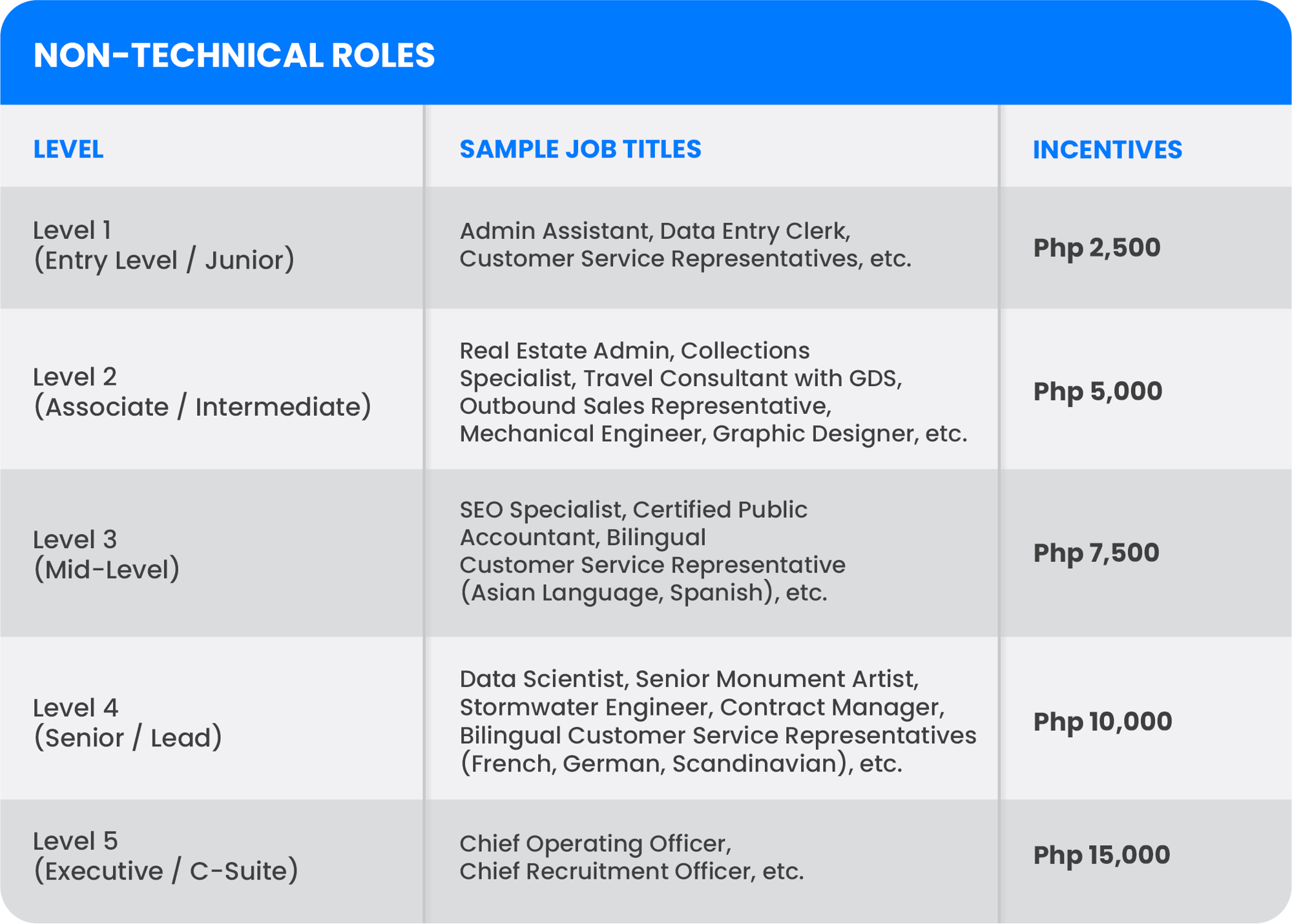 NON-TECHNICAL ROLES