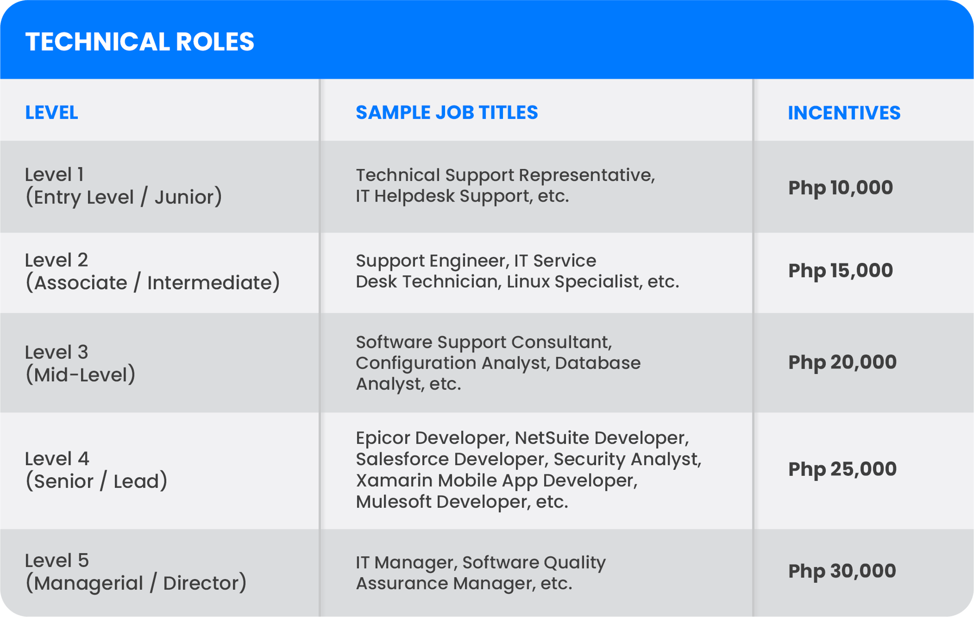 TECHNICAL ROLES TECHNICAL ROLES